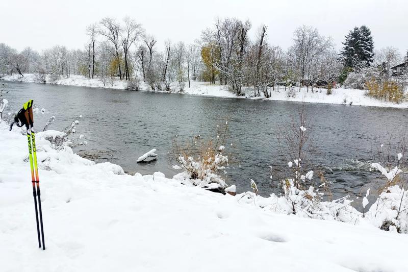 Novoroční nordic walking