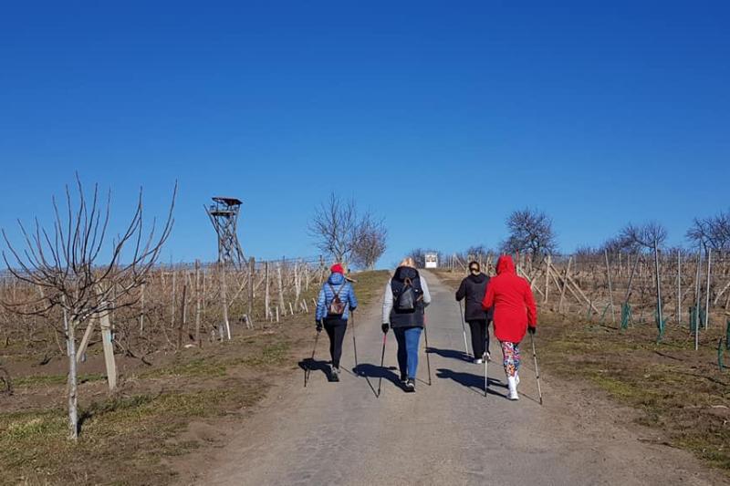 Zdravotní nordic walking